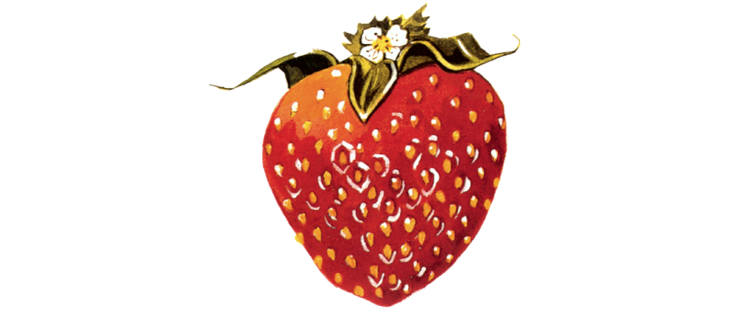 Introducing Fresh Strawberry Ice Cream 3/96