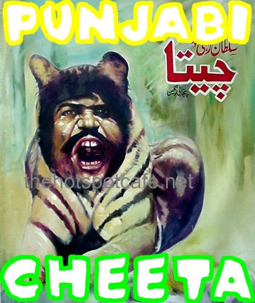 Punjabi Cheeta