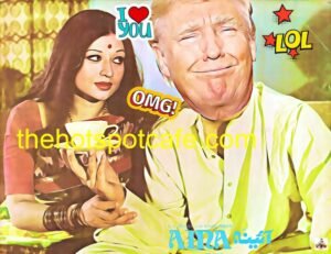 Aina (1977) starring Shabnam, Trump - Tin Sign